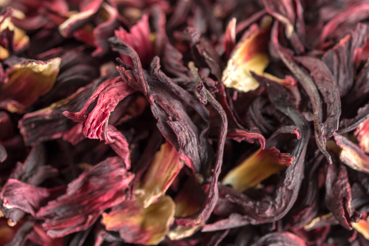 Fleurs d'hibiscus séchées ©Mattie Hagedorn CC BY-SA 2.0