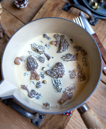 Sauce aux morilles