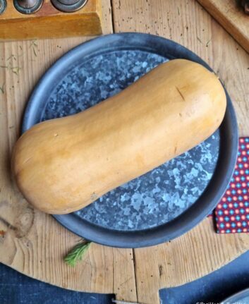Butternut