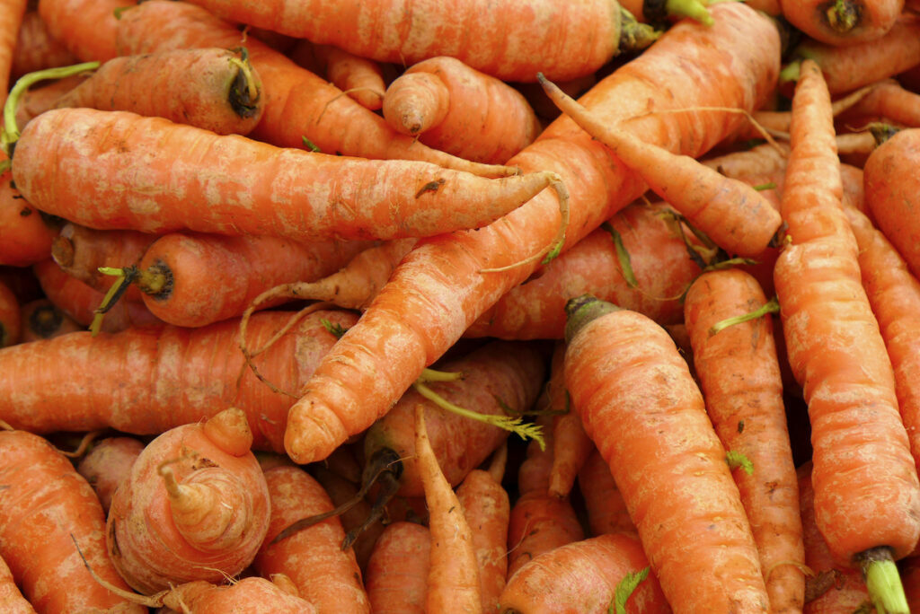 Carottes ©Peter Burka CC BY-SA 2.0