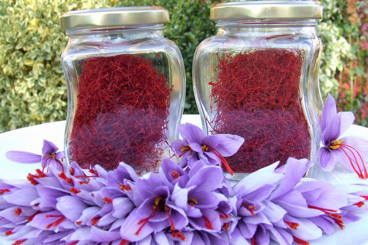 Safran du Quercy © ADT82-Safran du Quercy CC BY-NC 2.0