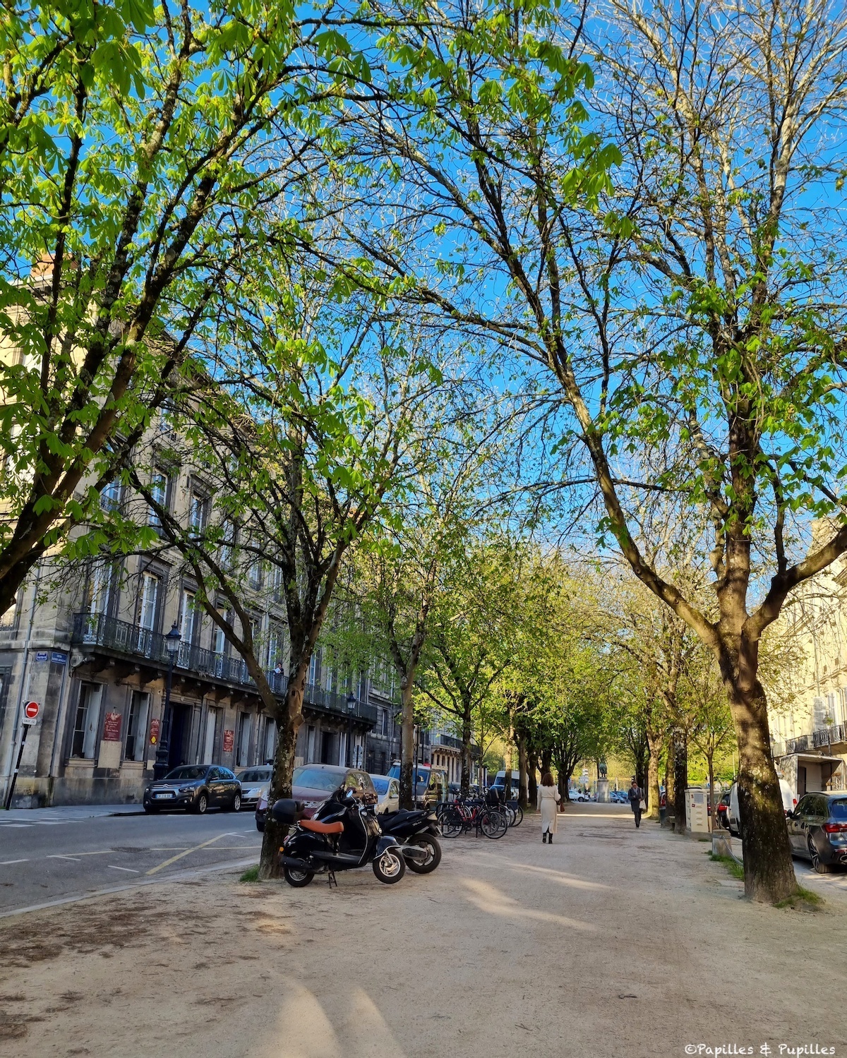 Cours Arnozan Bordeaux