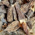 Morilles séchées
