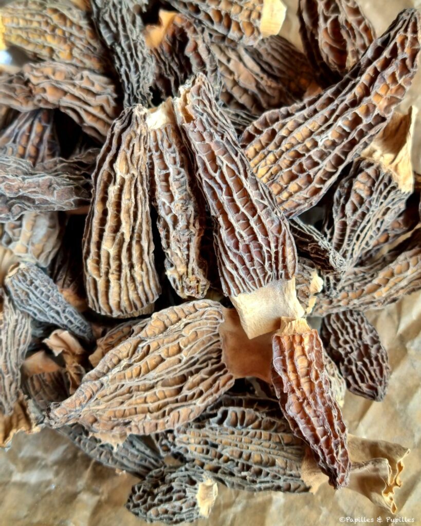 Morilles séchées