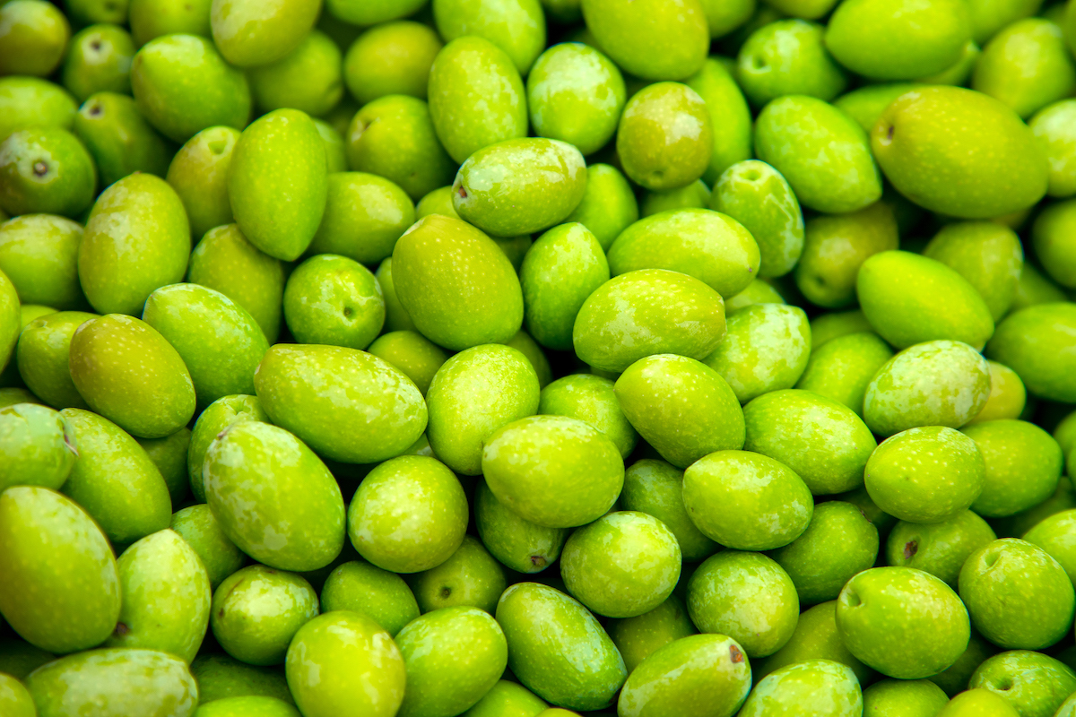 Picholines ©Beaucaire Terre d'Argence Tourisme