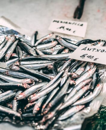 Anchois © Iñigo De la Maza on Unsplash