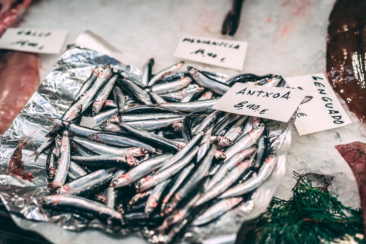 Anchois © Iñigo De la Maza on Unsplash
