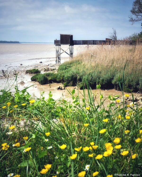 Carrelet sur l'estuaire, Plassac, Gironde