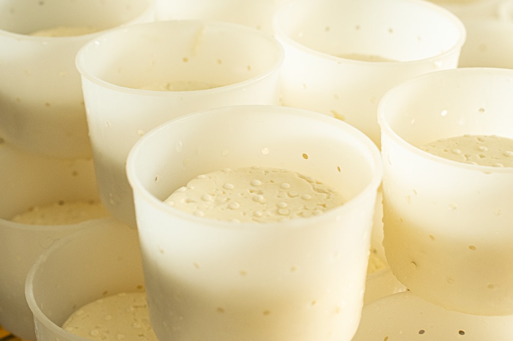 Faisselles ©Saint-Marcellin IGP