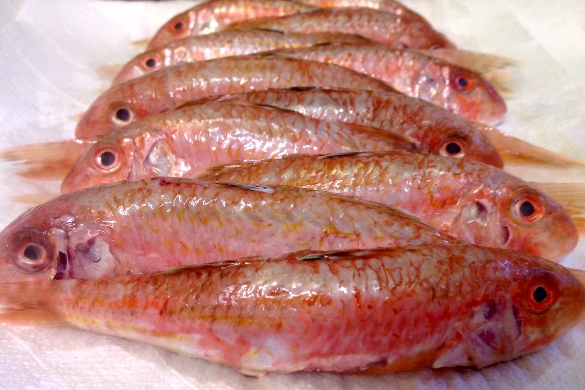 Rougets vendangeurs ©Martine CC BY-NC 2.0