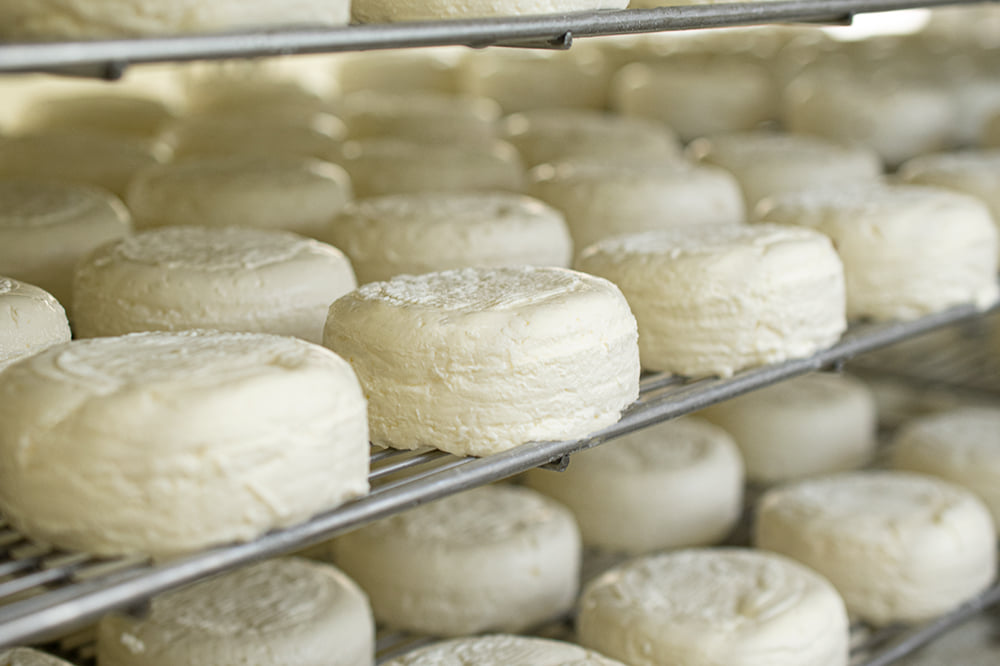 Saint Marcellin IGP - Fromagerie Rochas