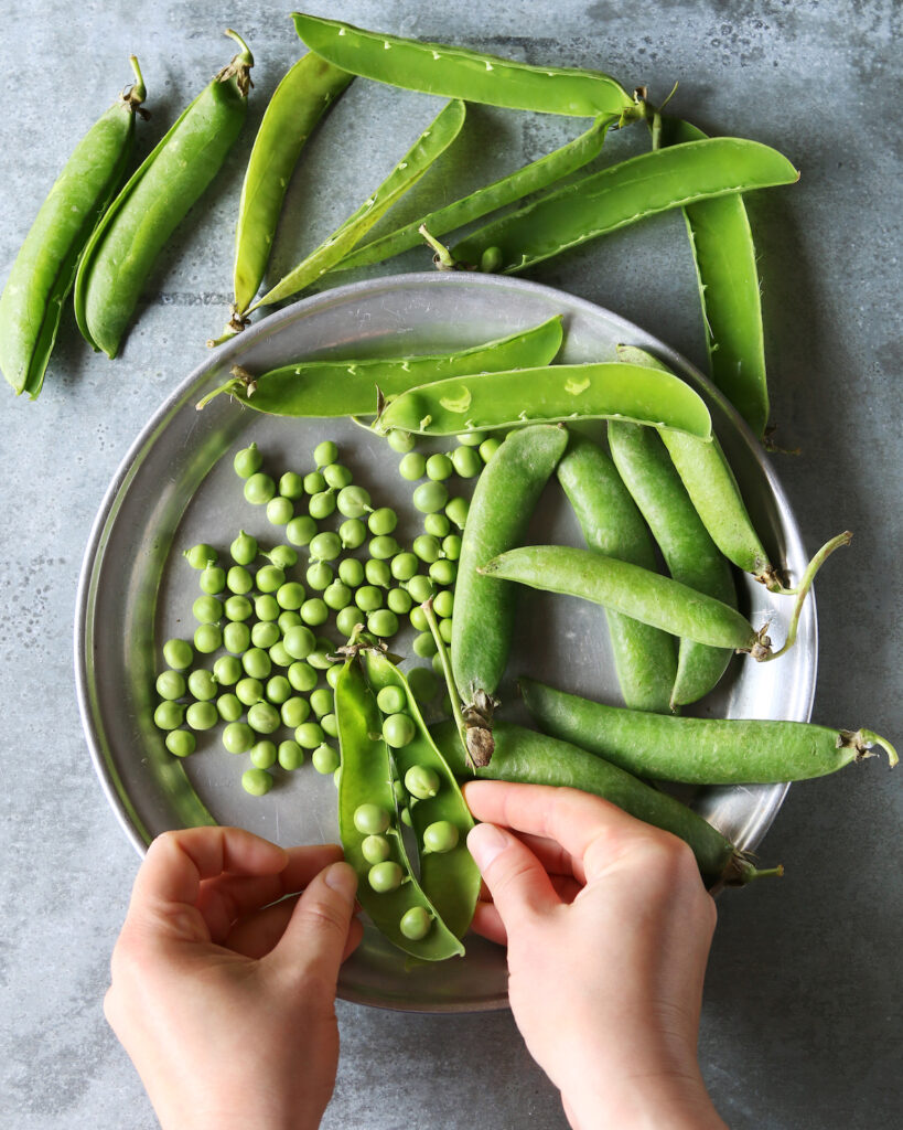 Ecosser des petits pois © thefoodphotographer shutterstock