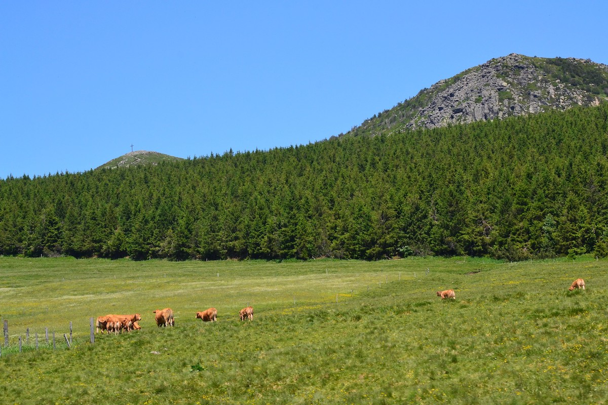 Environs du Mont Mezenc ©Jeanne Menjoulet CC BY 2.0