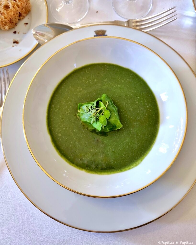 Soupe d'épinards et orties