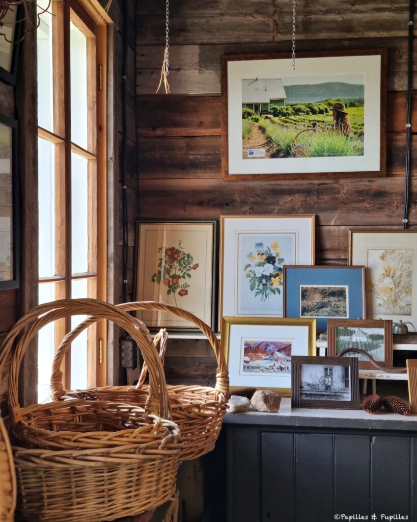 Azulée - Baie Saint Paul