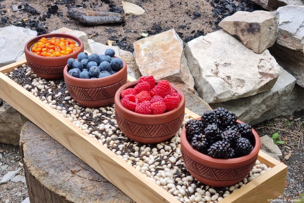 Les 4 baies importantes des communautés autochtones