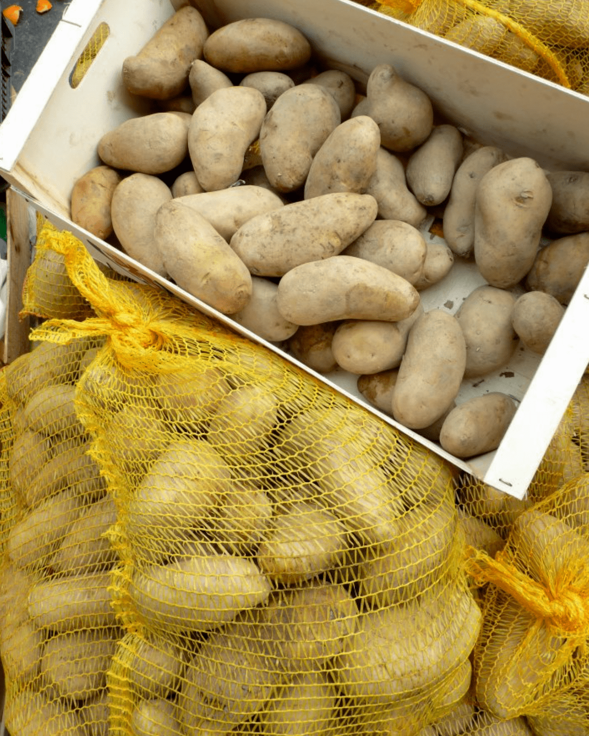 Pommes de terre d'Eysines