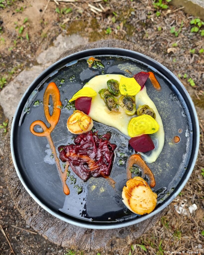 Pétoncles aux têtes de violon, céleri rave en purée, betteraves et confit d'oignons rouges