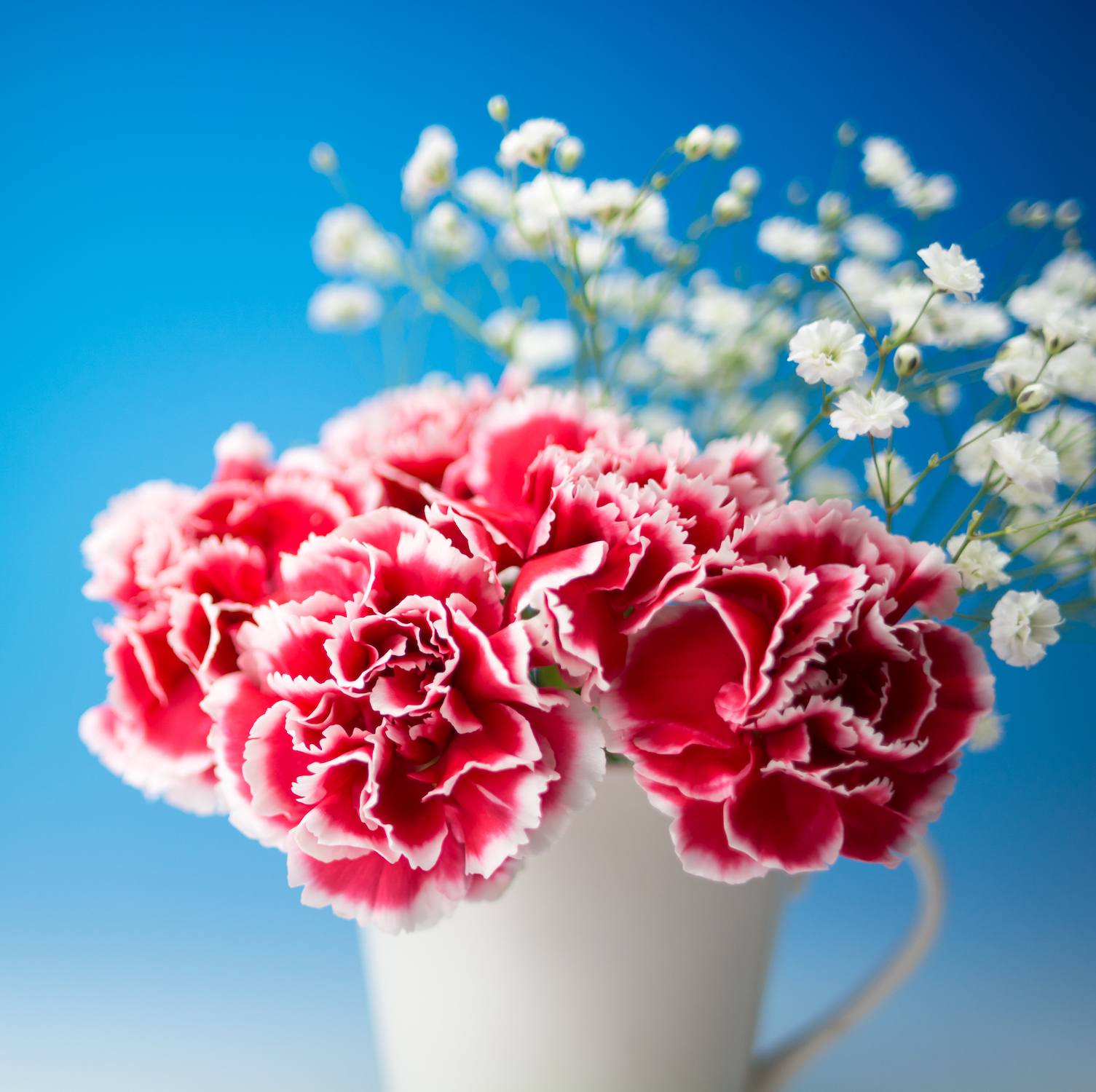 14 juillet ©TOMO shutterstock