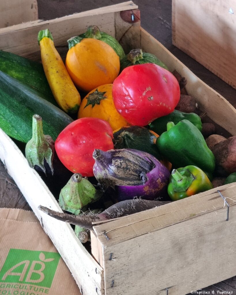 Cagette de légumes anti gaspi