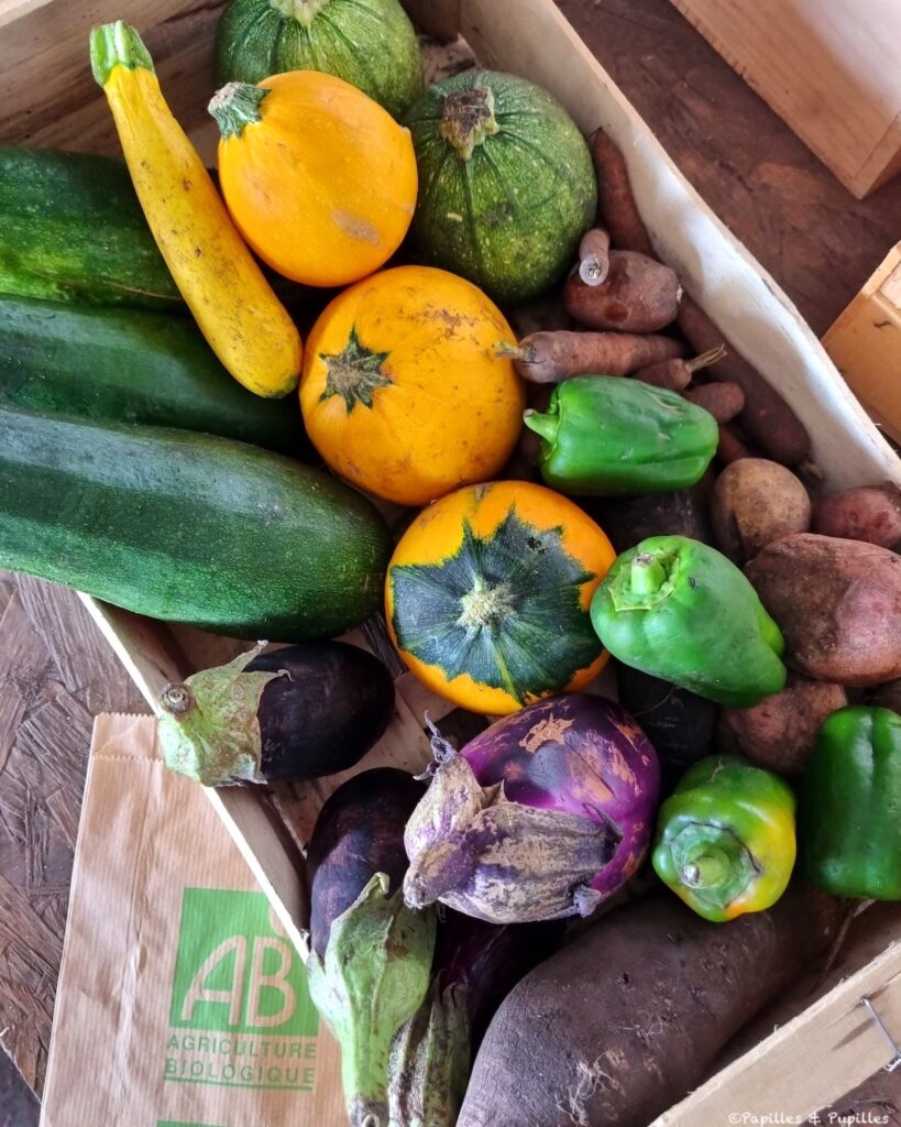 Cagette de légumes anti gaspi