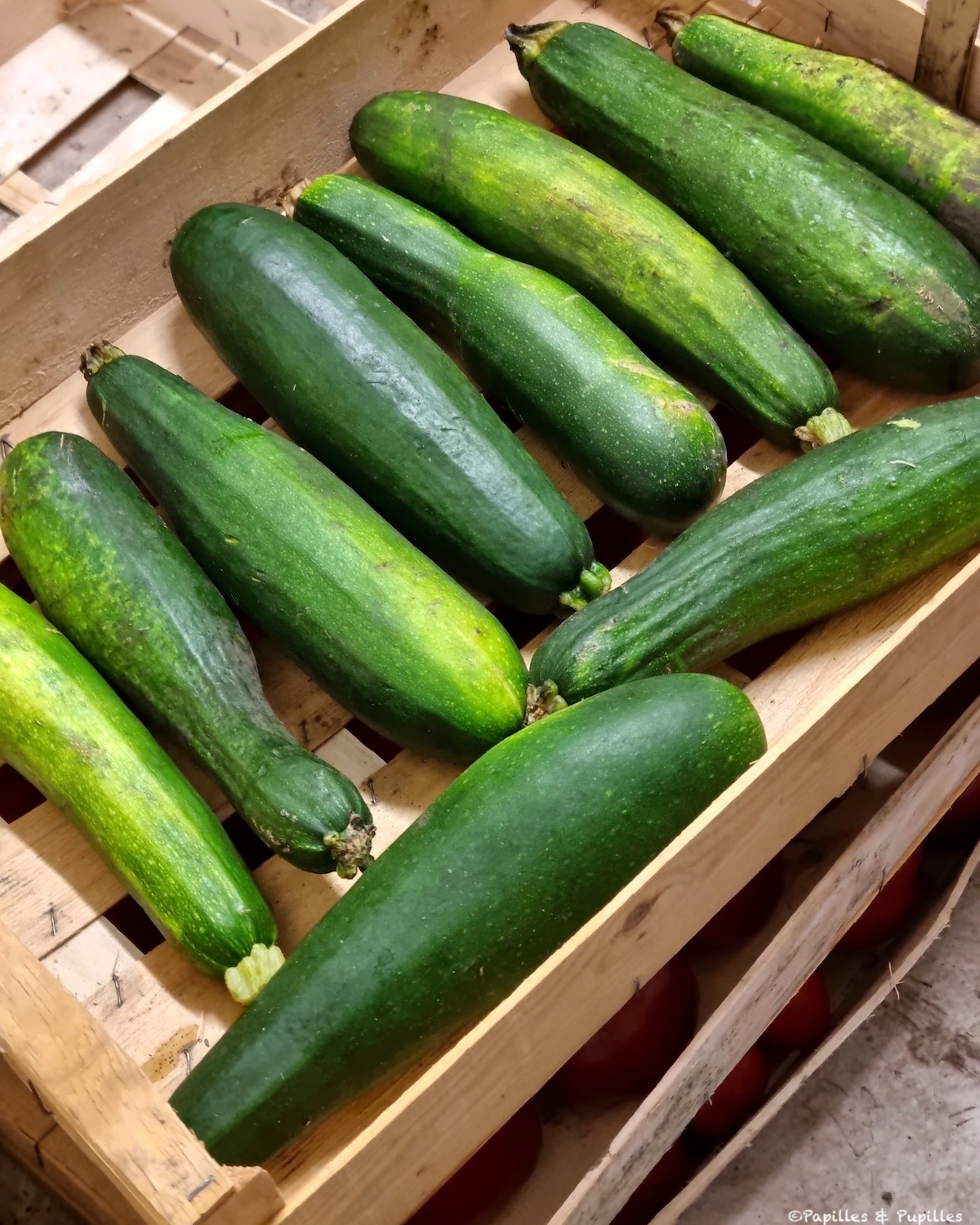 Courgettes