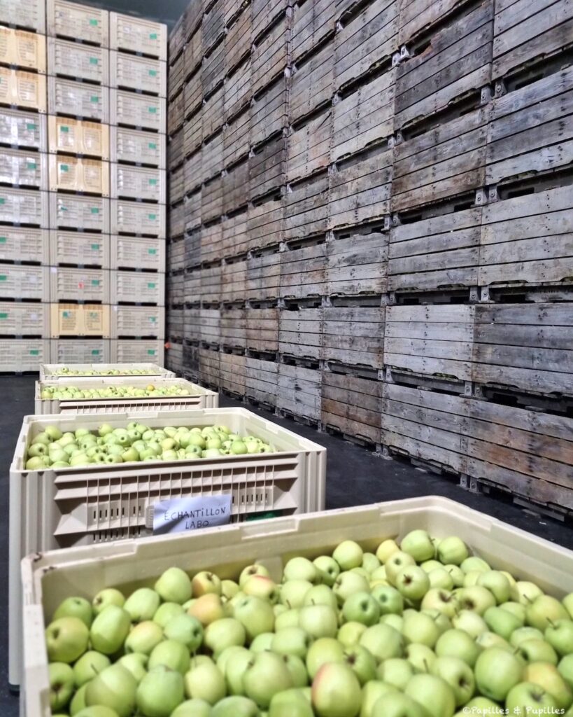 Entrepôt réfrigéré