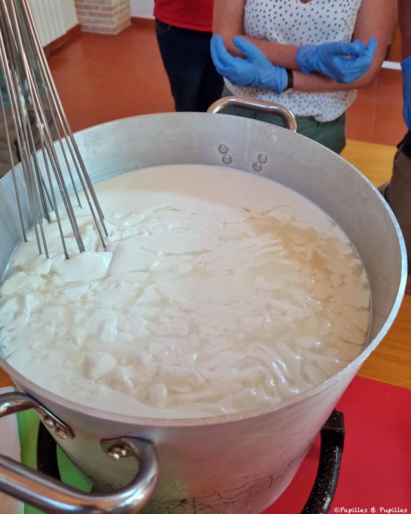 Cassez légèrement le caillé