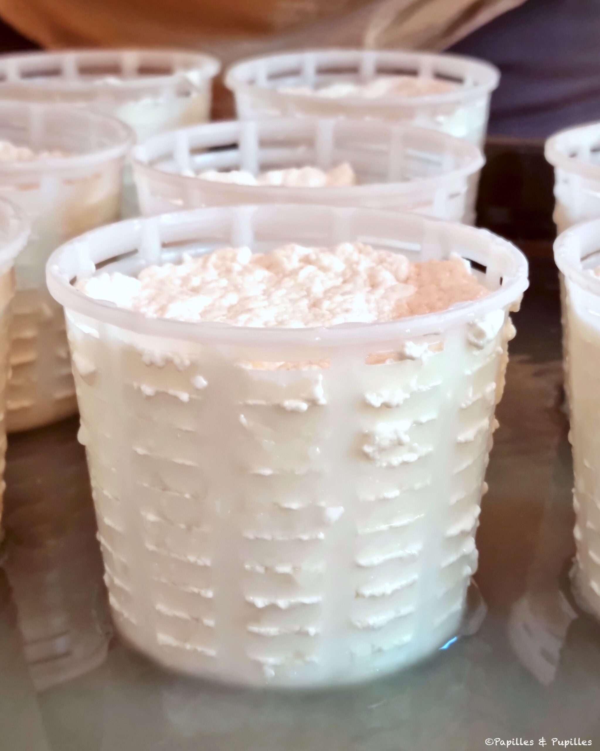 Comment faire du fromage de chèvre frais maison — free download