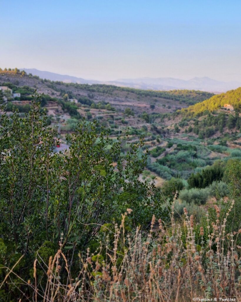 Vue sur la vallée