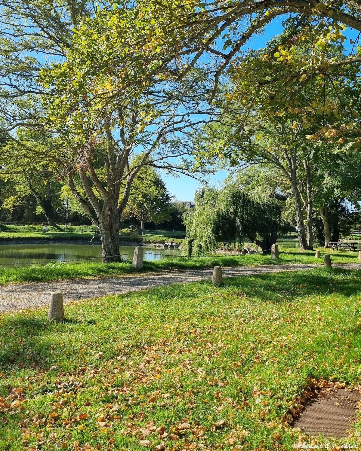 La ferme des Mares - Saint-Germain-sur-Ay
