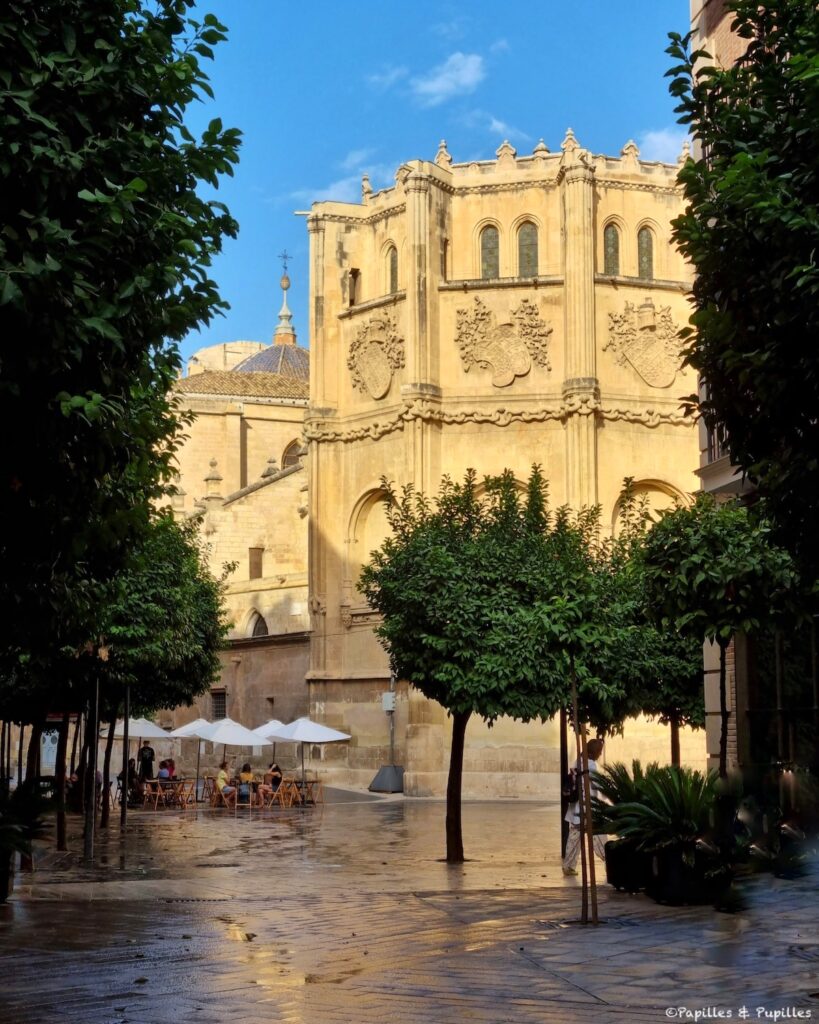 Cathédrale de Murcia