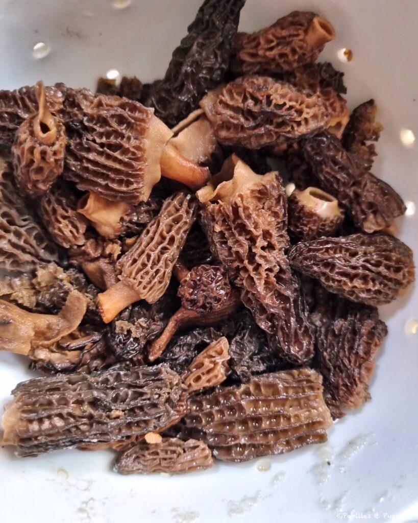 Morilles blanchies