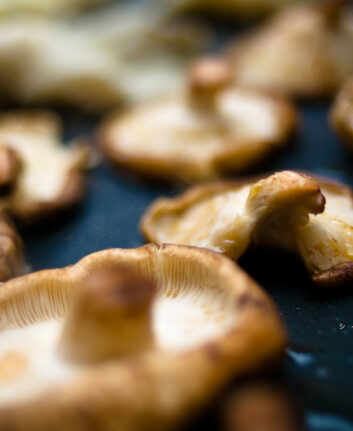 Champignons à la plancha ©Camilo Rueda López CC BY-ND 2.0
