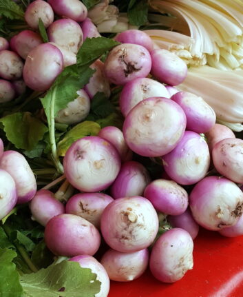 Navets au marché