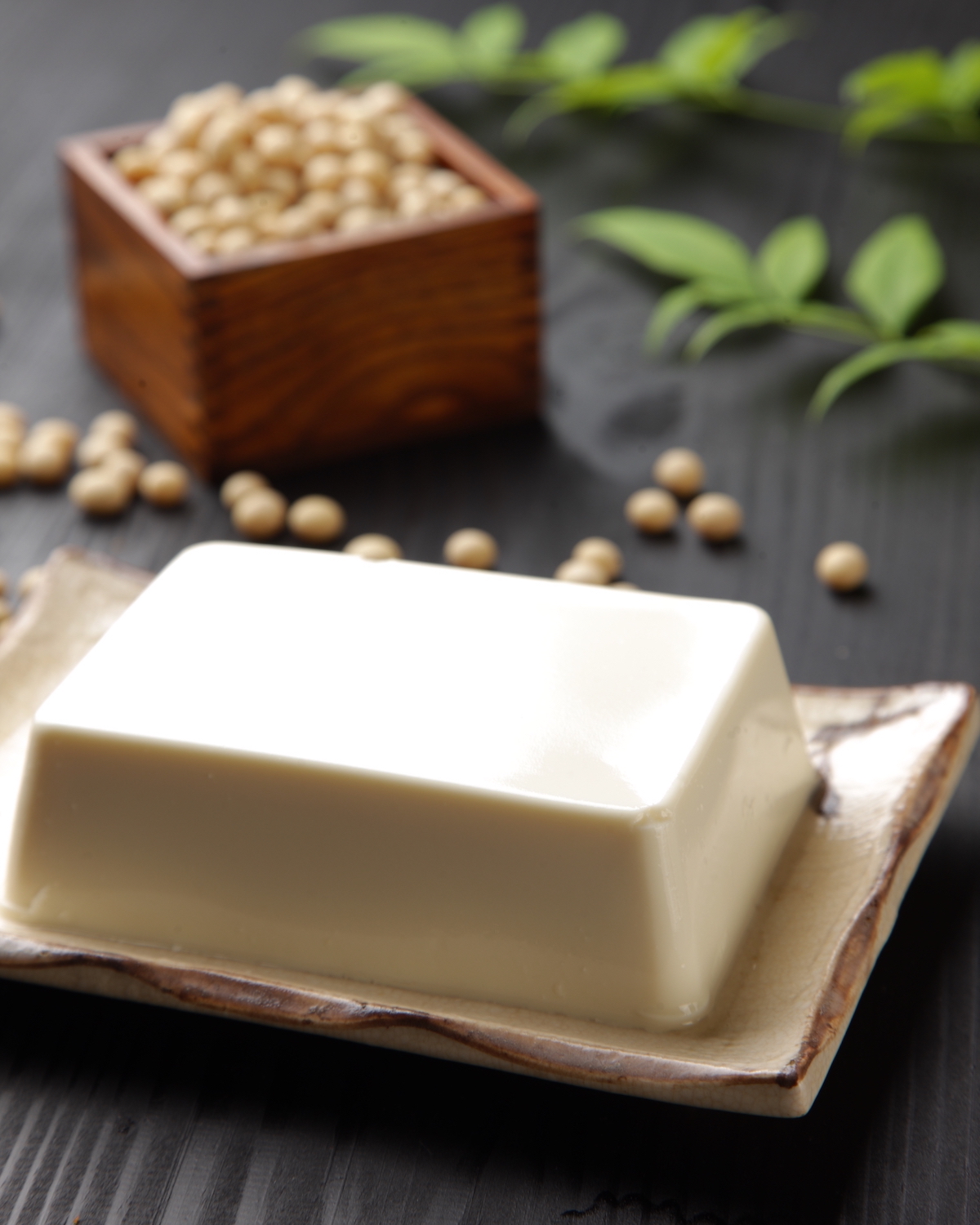 Tofu Soyeux © UV70 shutterstock