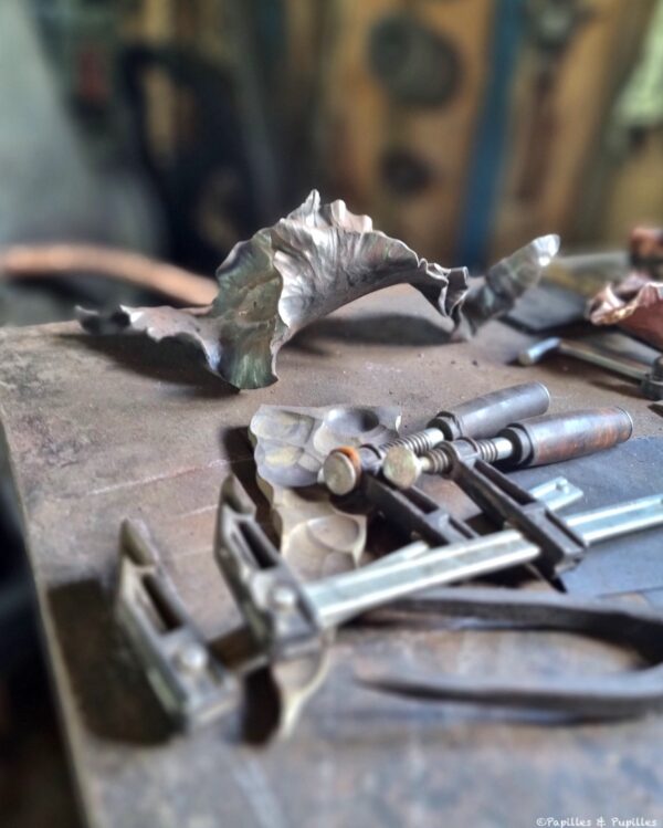 Une figue dans le poirier