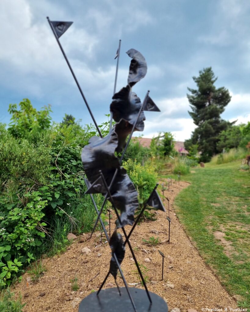 Une figue dans le poirier