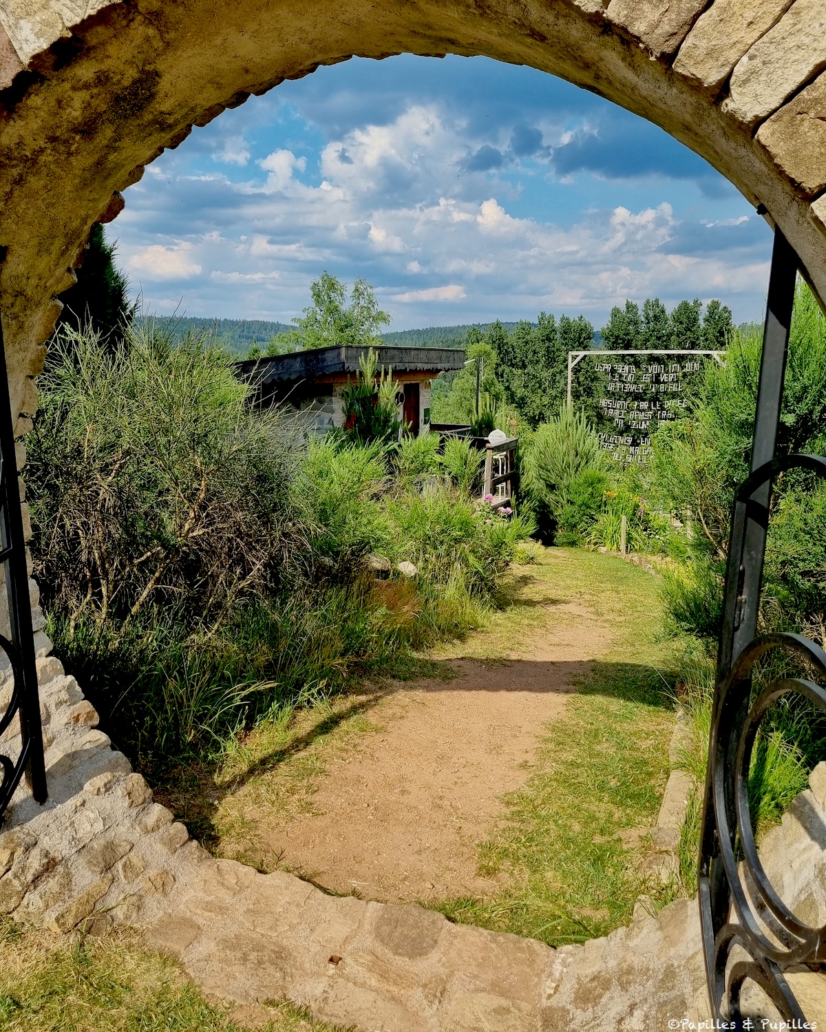 Une figue dans le poirier