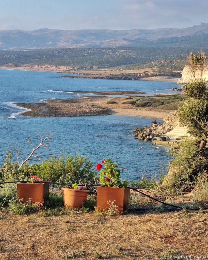 Agios Georgios Pegeia