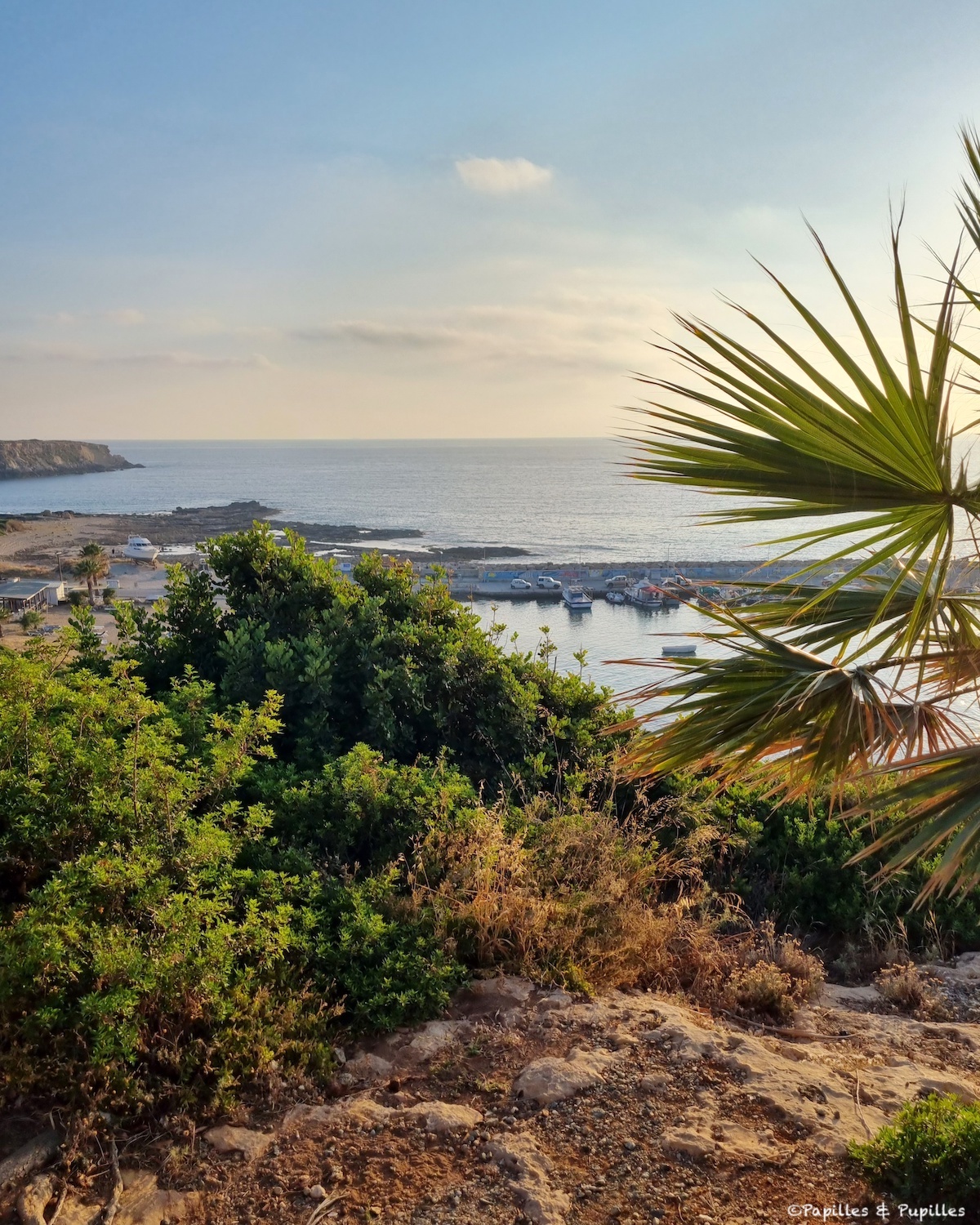 Agios Georgios Pegeia