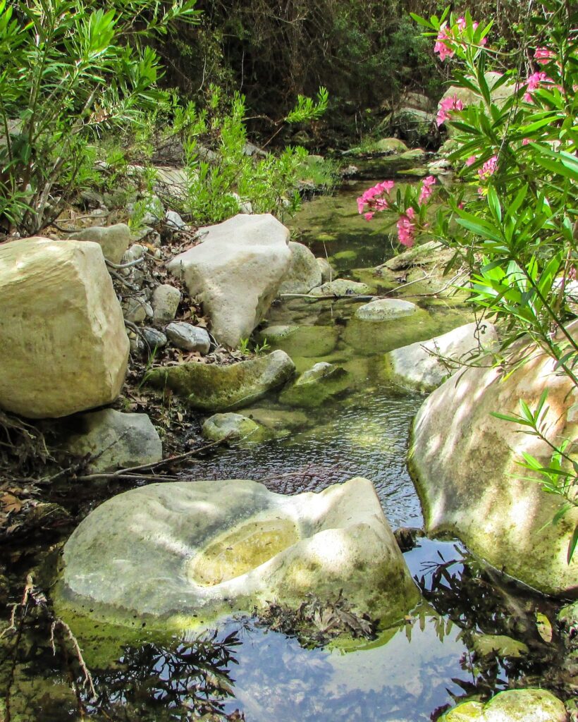 Avakas CCO Pixabay dimitrisvetsikas1969