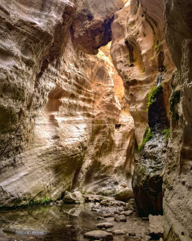 Avakas CC0 Pixabay ©dimitrisvetsikas1969