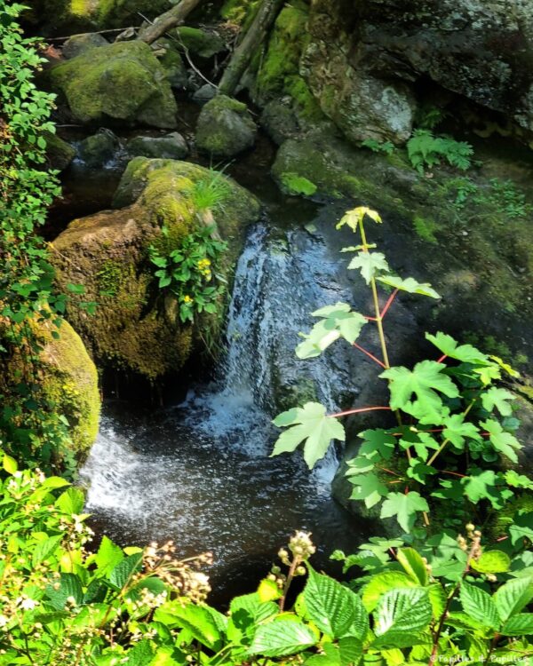 Cascade du Gehard