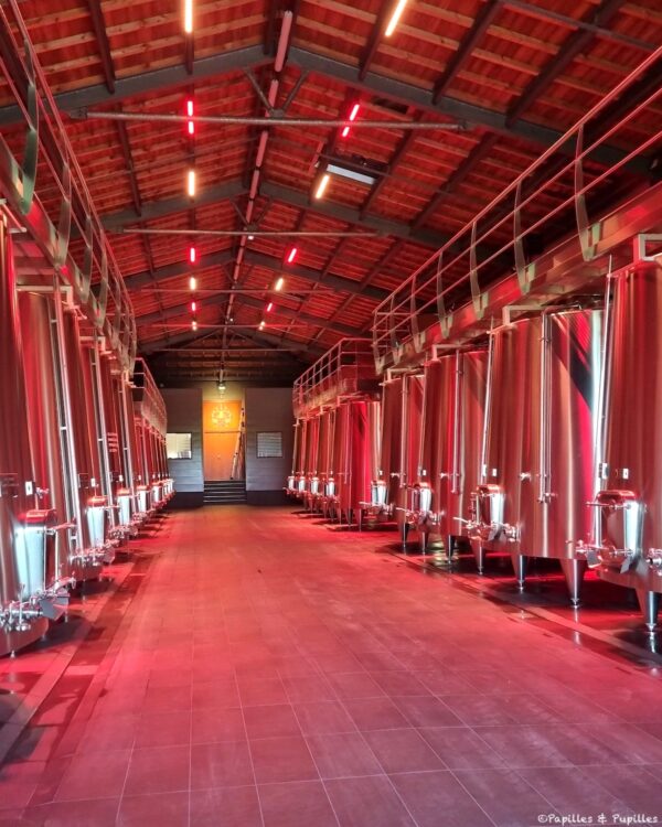 Chai de vinification