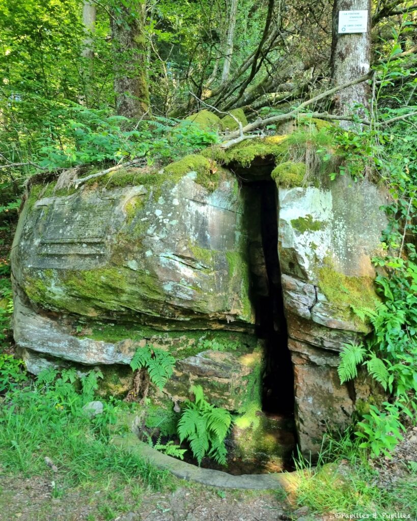 Domaine Fontaine Stanislas