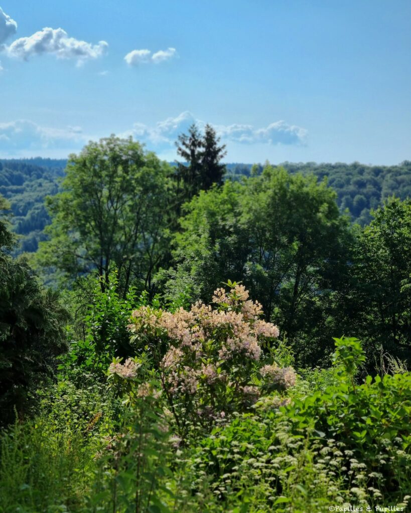 Domaine Fontaine Stanislas