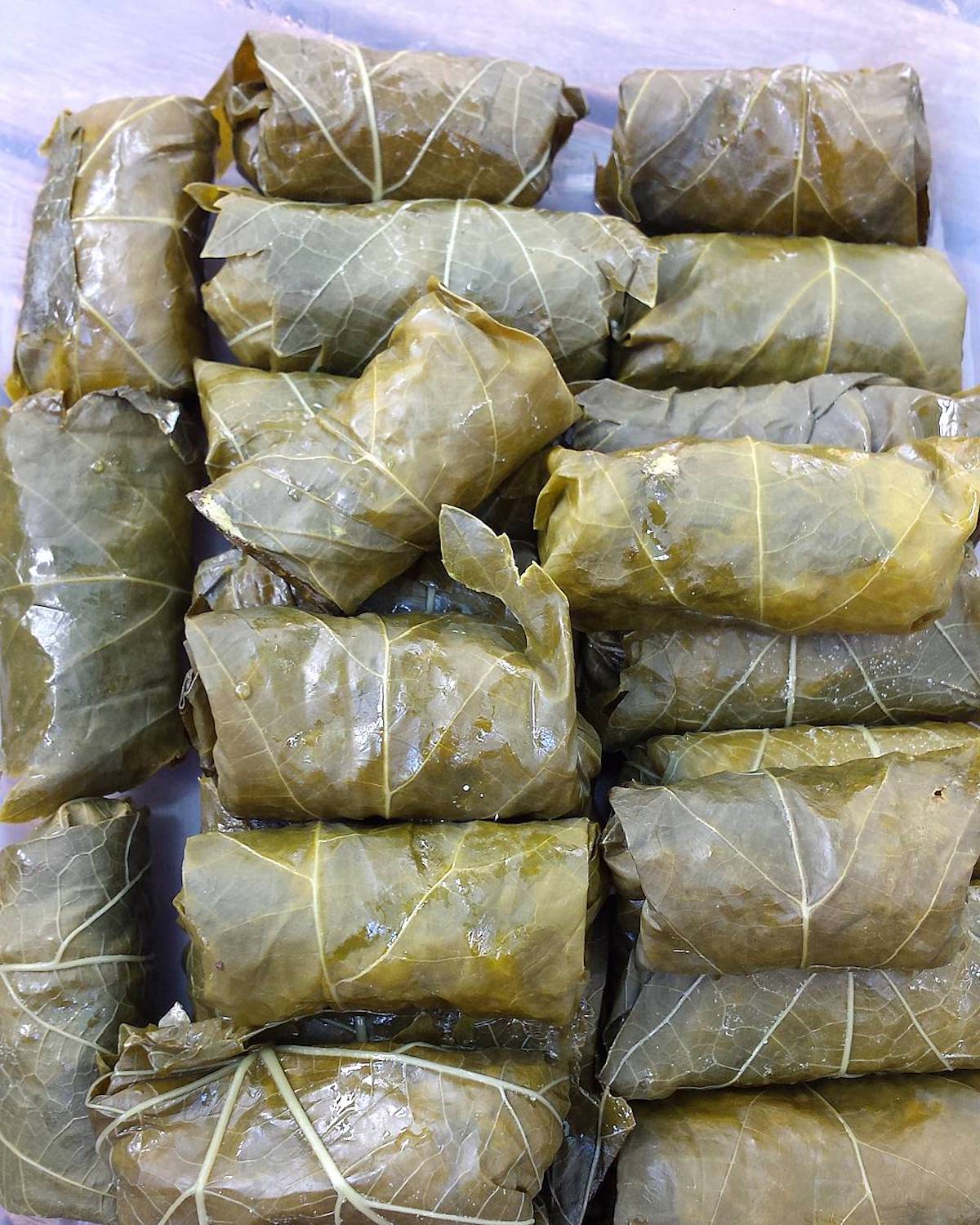 Feuilles de vignes farcies ©Kate Bunker CCBYNC20