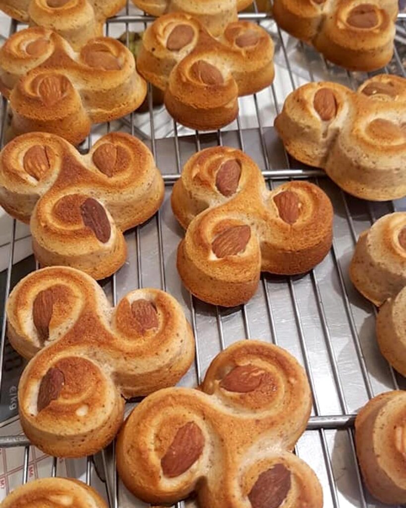 Loriquettes de Jean Luc