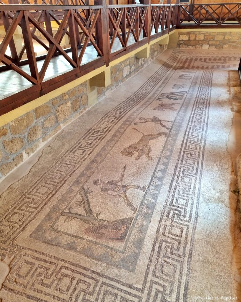 Site archéologique de Néa Paphos